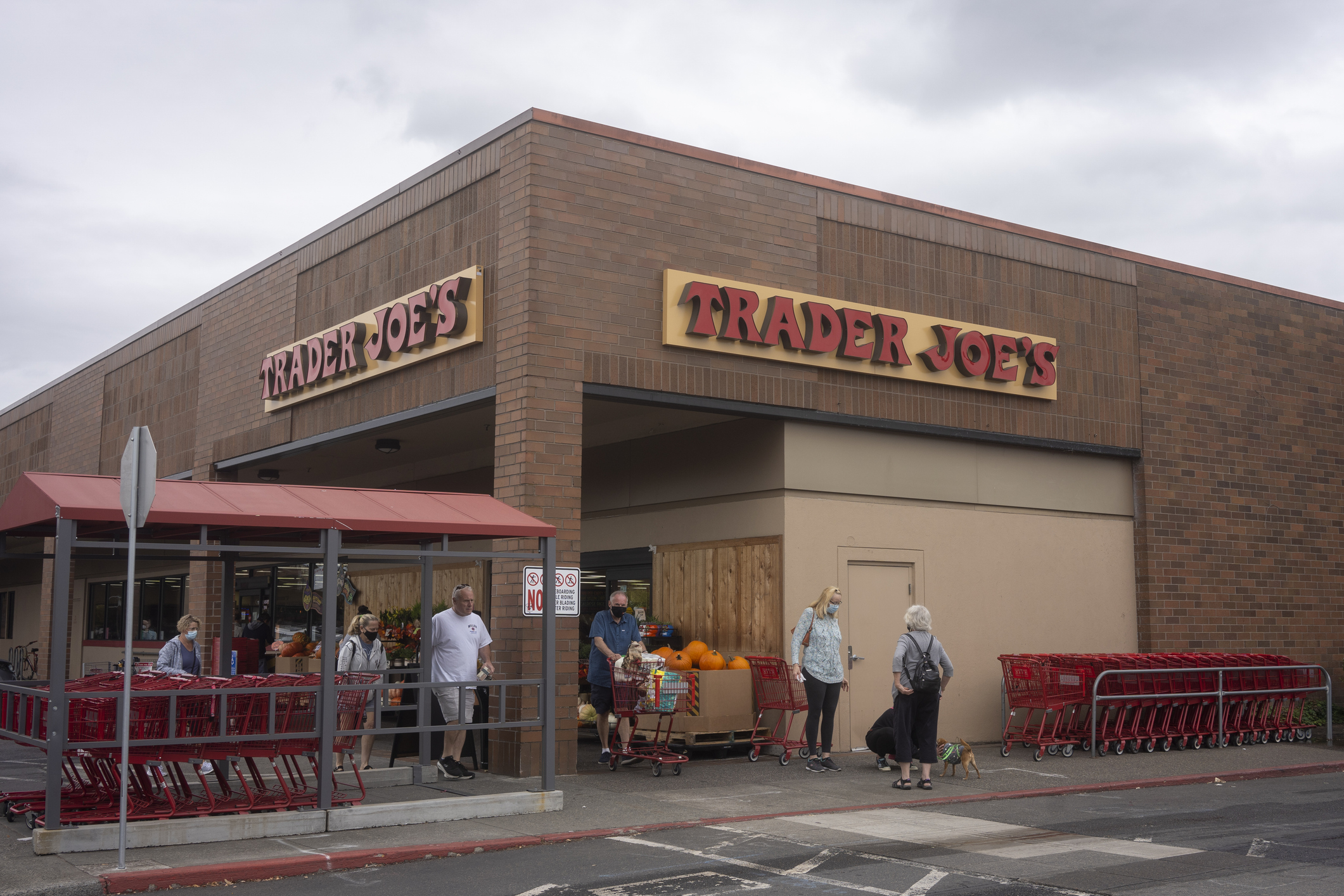 Good Morning, News: Exotic Animal Abuser Pleads Guilty, Whistleblower Fired After Questioning ICE Contracts, and a Portlander's Horrific Trader Joe's Orange Juice Encounter - Portland Mercury