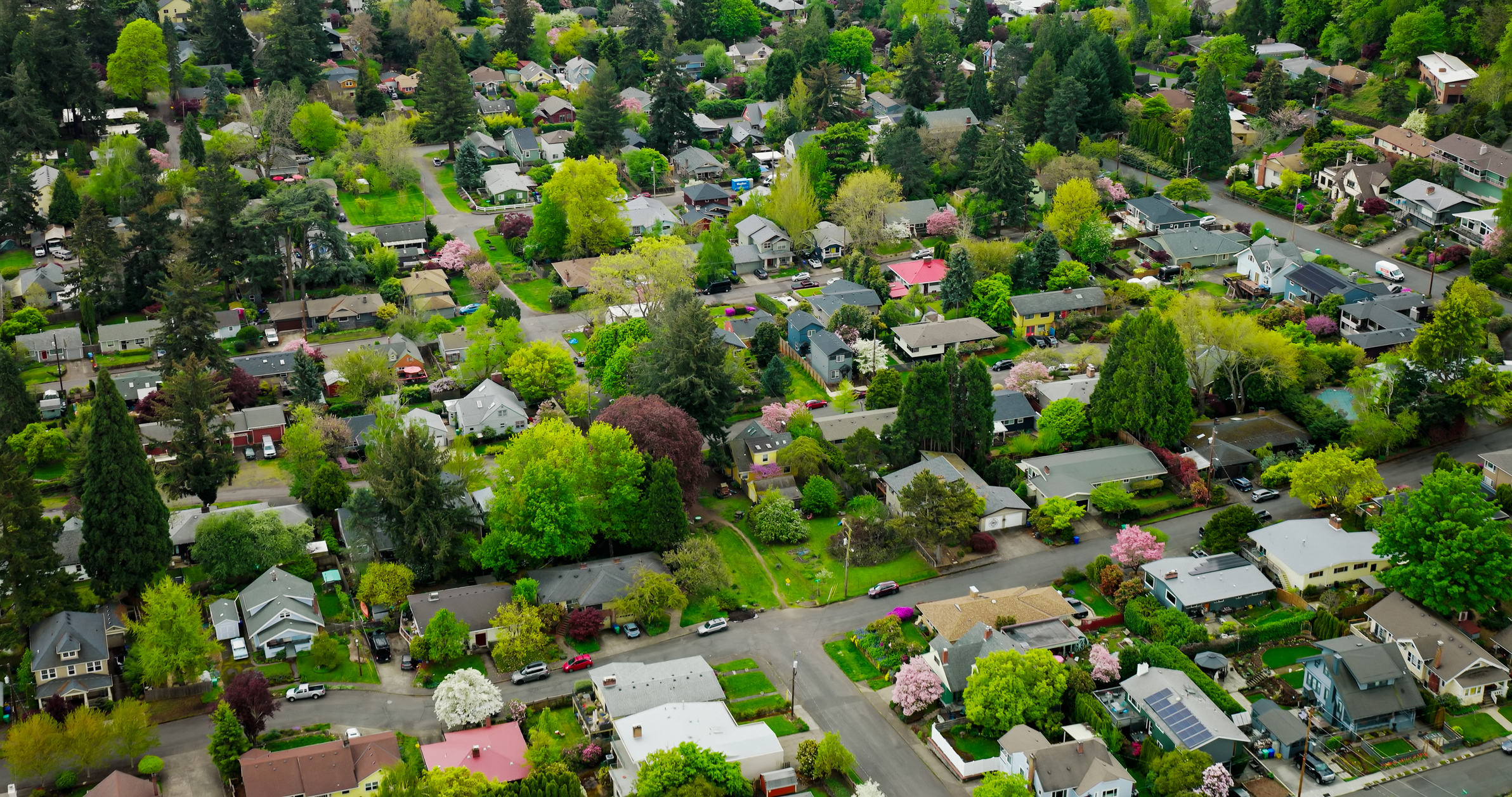 Home Forward CEO Resigns Amid Scrutiny Over Travel - Portland Mercury
