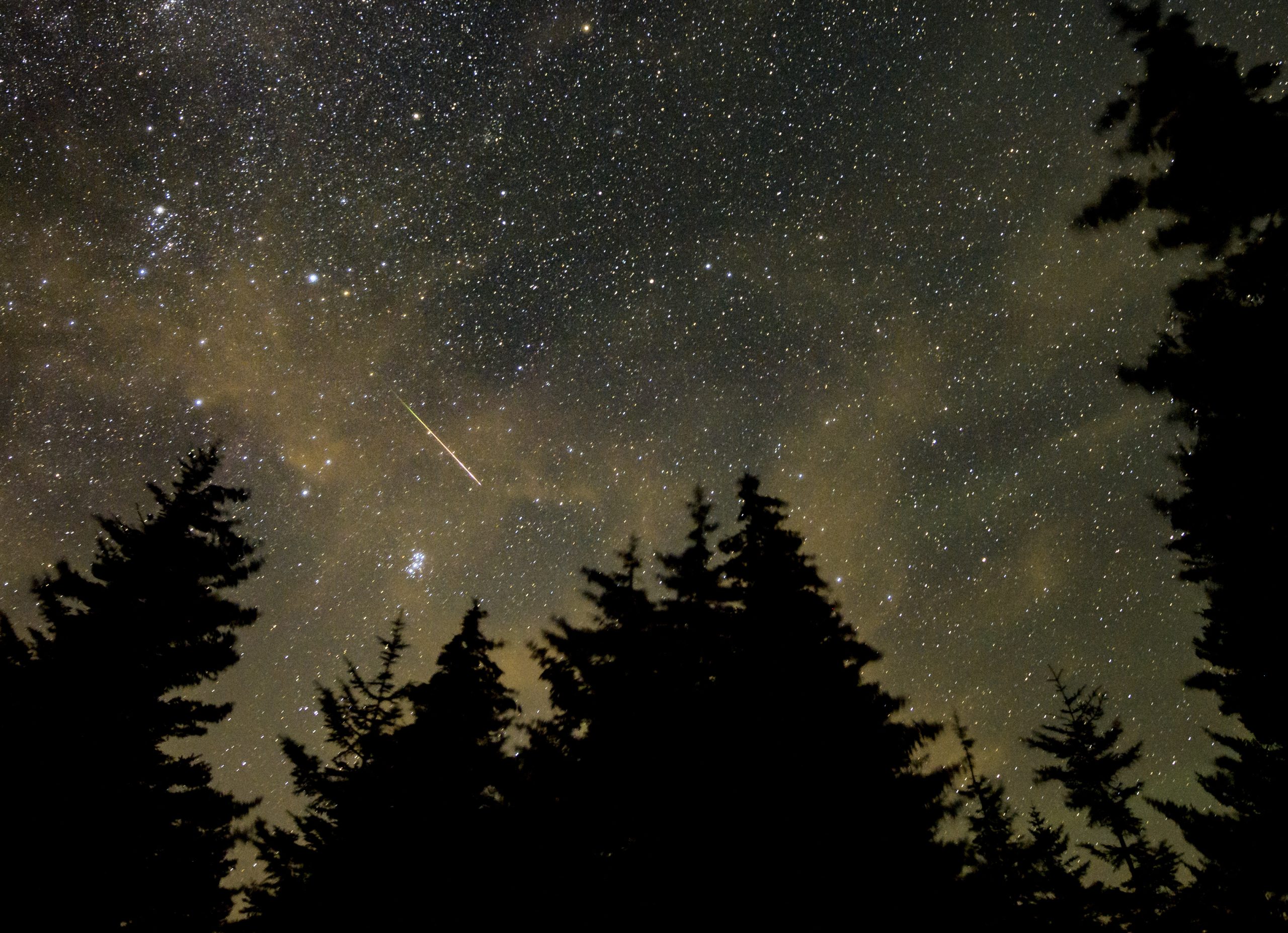 Top Events Aug 10-16: Burgers, Meteor Shower and Soapbox Derby - News Directory 3
