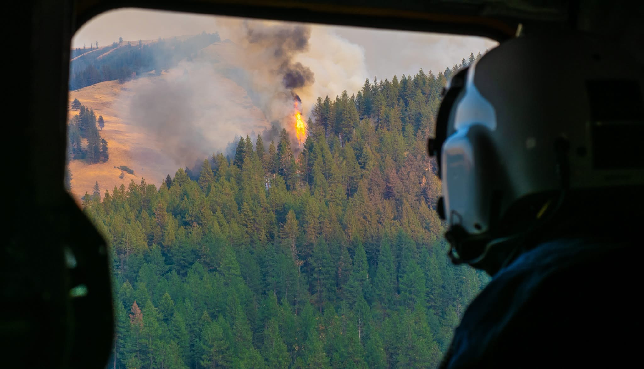 Good Morning, News: Wildfire Smoke Rolls into Portland, Women's Sports and AI, and a Reminder That RFK Jr. Sucks
