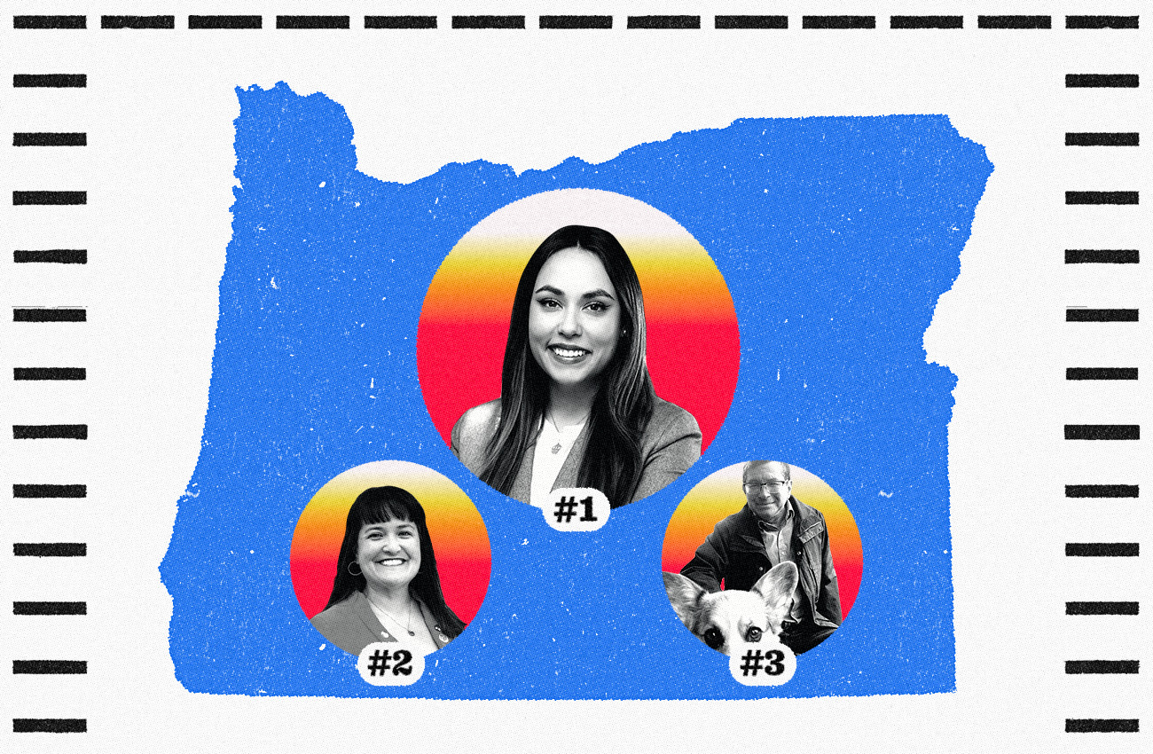 Mercury Endorsements: Vote Morillo, Koyama Lane, Novick in District 3