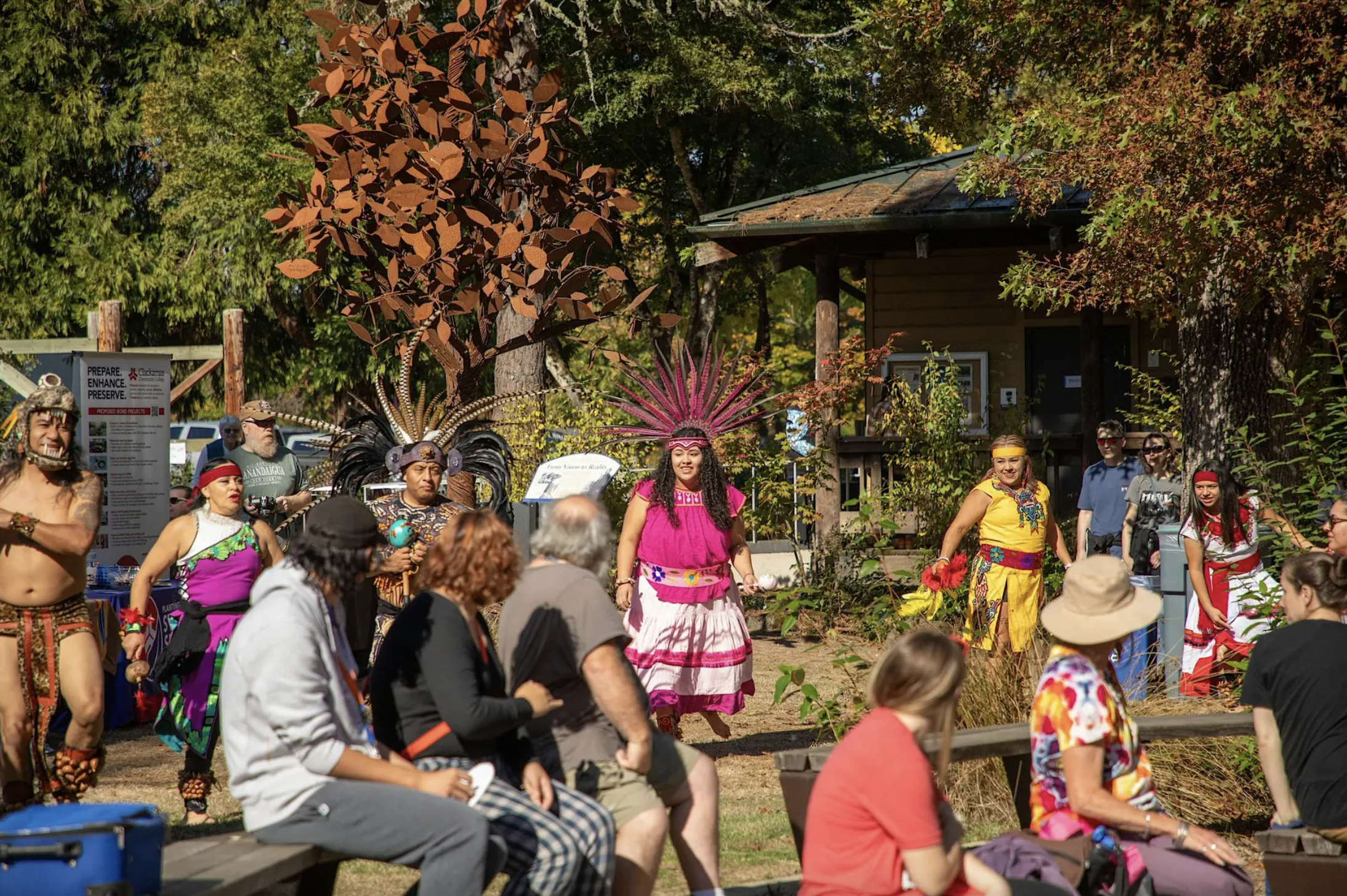 The Best Bang for Your Buck Events in Portland This Weekend: Oct 9–11, 2026